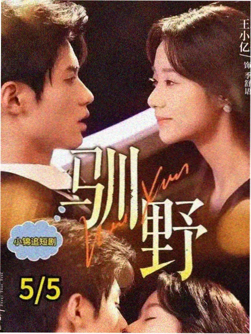 演员请下潜综艺